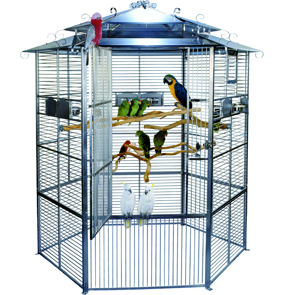 V této velké voliéře mají papoušci skutečně mnoho prostoru