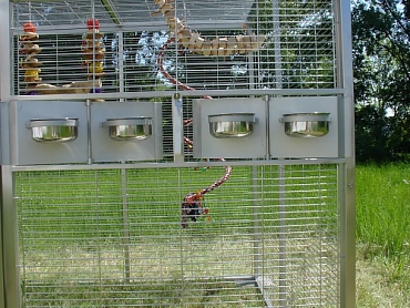 Krmítka jsou opatřena zámky na klíč