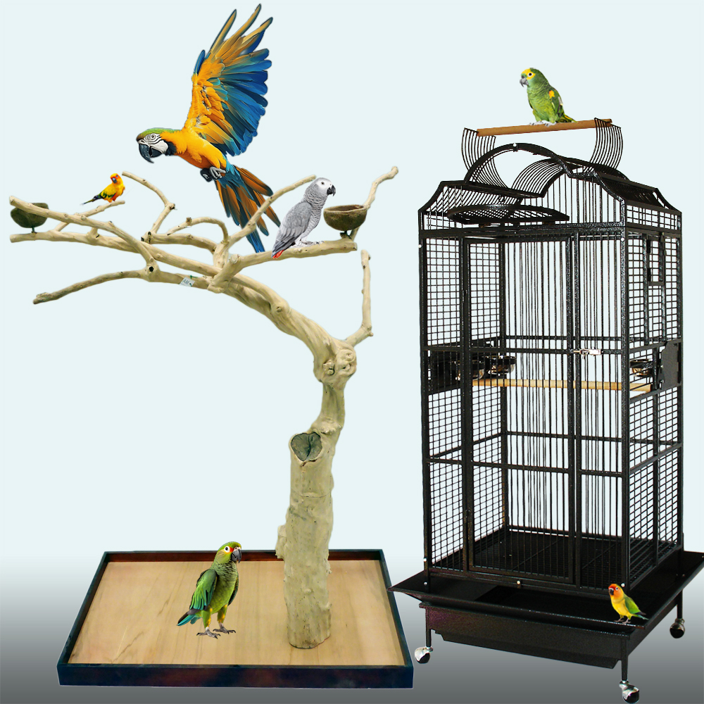 Klec 206 a strom z kávovníku - ideální vybavení pro papouška