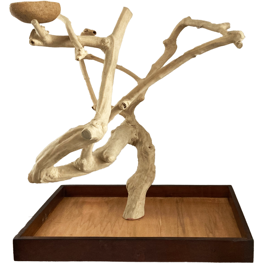 Stromy z kávovníku jsou vyrobeny z extrémně tvrdého dřeva