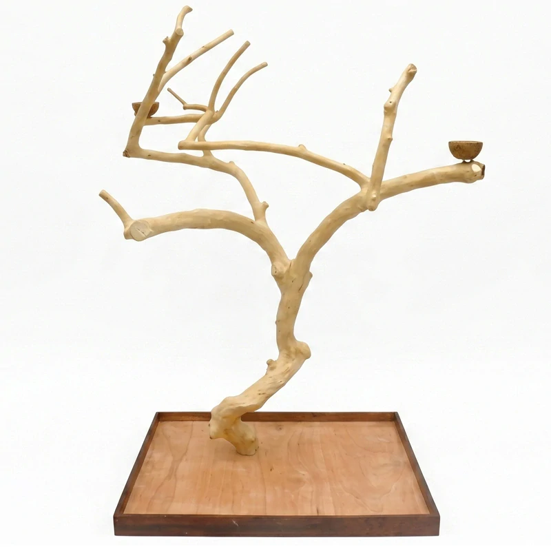 Vysoký, košatý strom z kávovníku AL3036