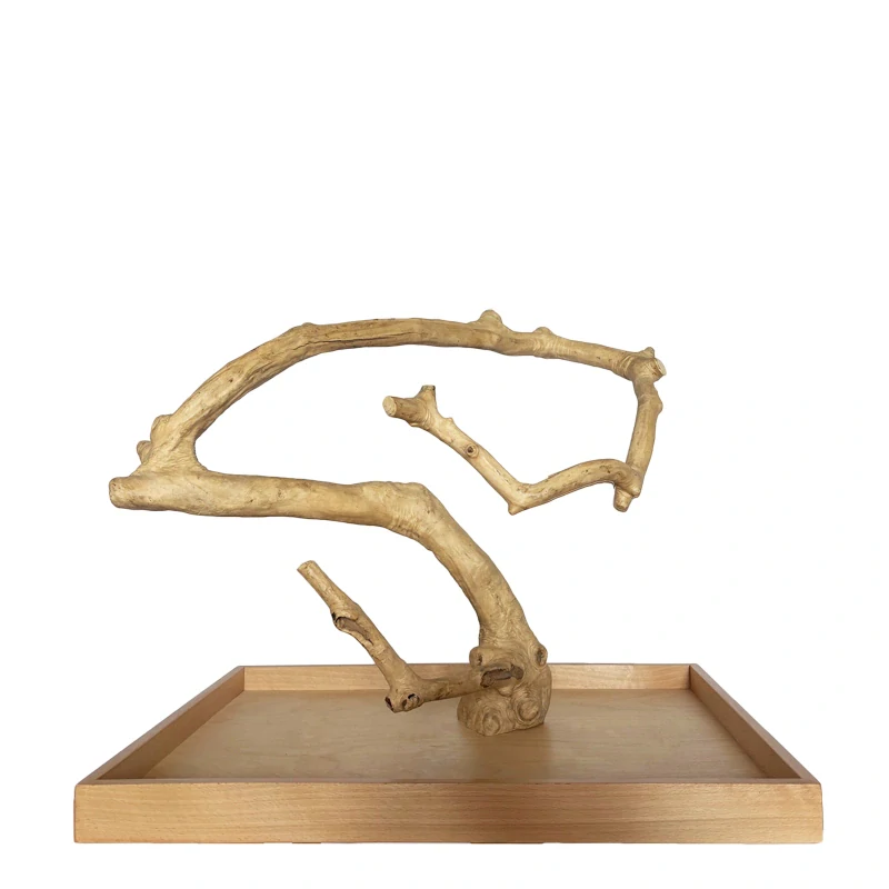 Strom z kávovníku s podstavou velikosti L s 3XL silnými větvemi pro velké papoušky