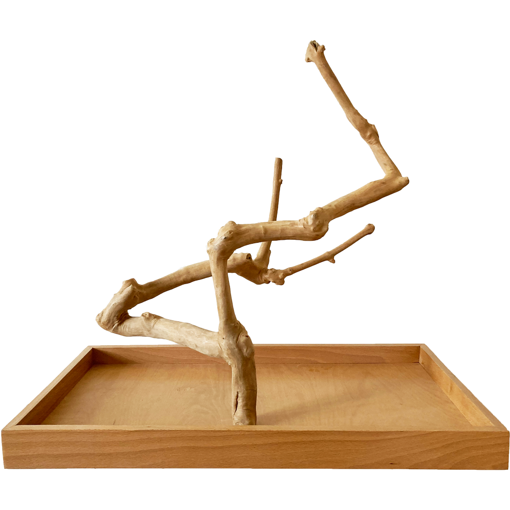 Strom z kávovníku s podstavou velikosti L pro střední a malé papoušky