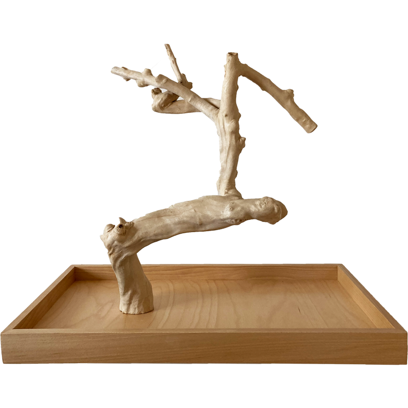 Strom z kávovníku s podstavou velikosti L pro střední a velké papoušky, tloušťka větví XL