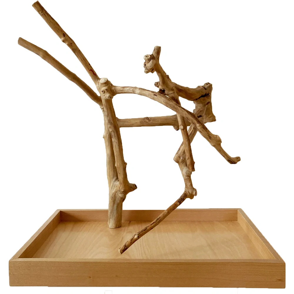 Strom z kávovníku s podstavou velikosti M pro malé a střední papoušky