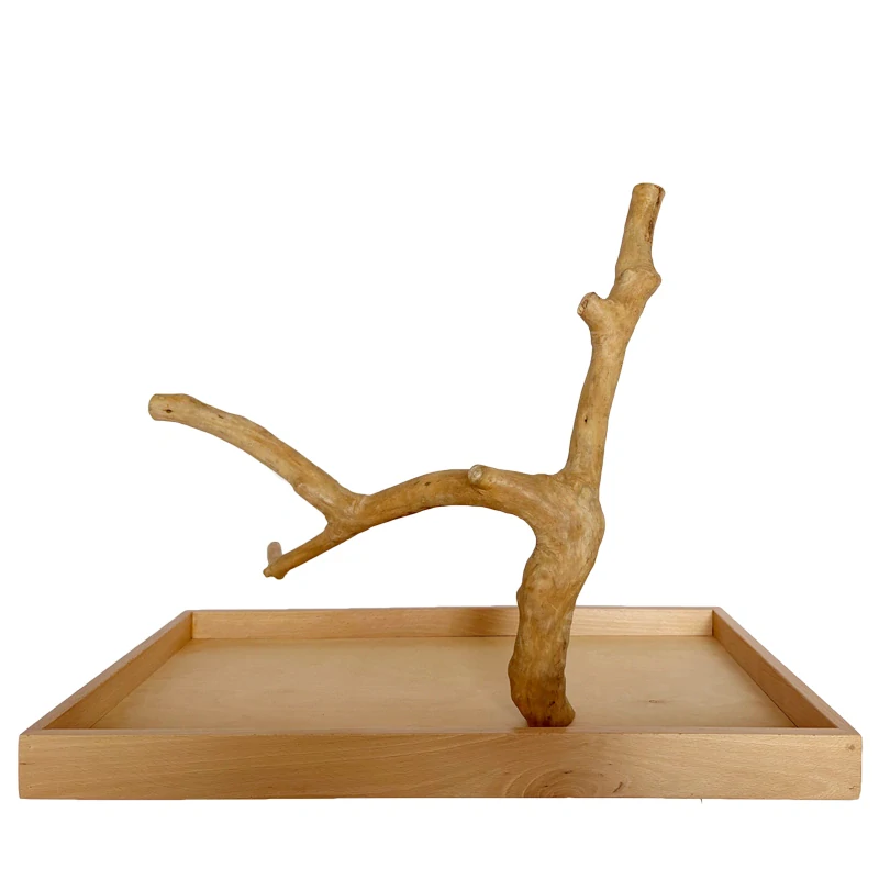 Strom z kávovníku s podstavou velikosti L pro střední a velké papoušky