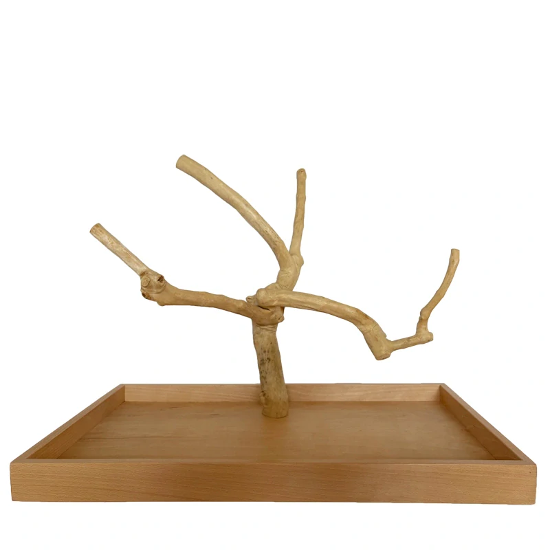 Strom z kávovníku s podstavou velikosti L pro střední a menší papoušky