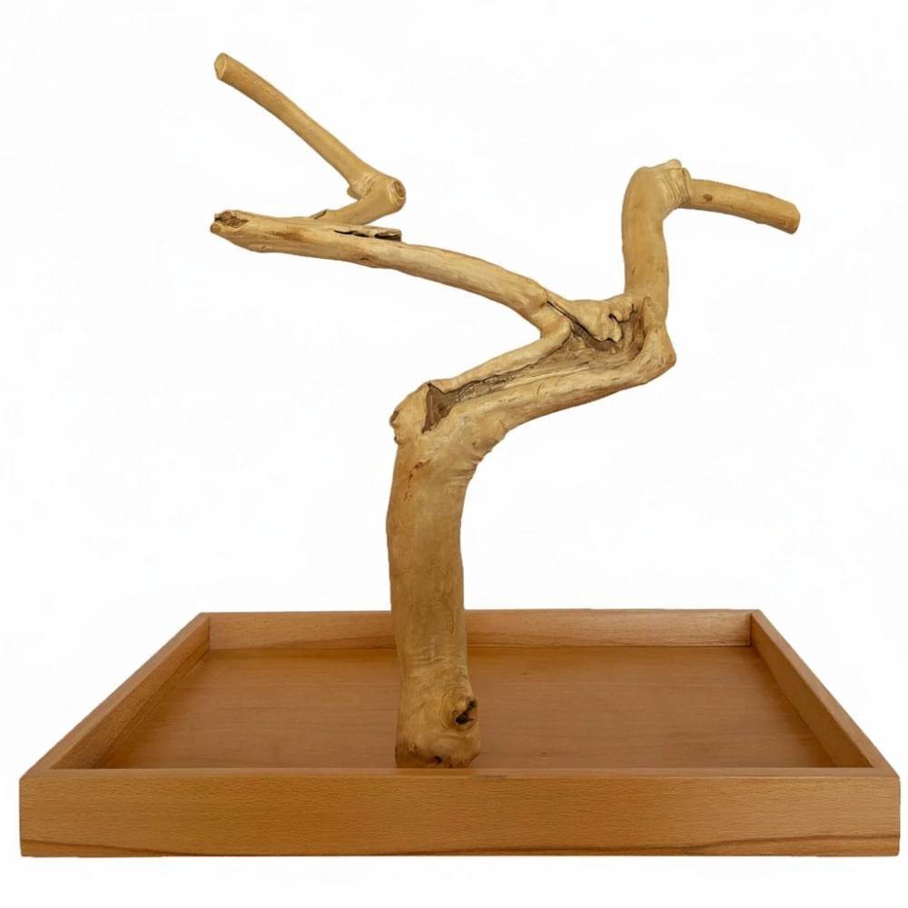 Strom z kávovníku s podstavou velikosti M pro malé a střední papoušky