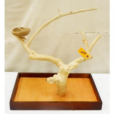 Strom z kávovníku s podstavou velikosti M pro malé a střední papoušky