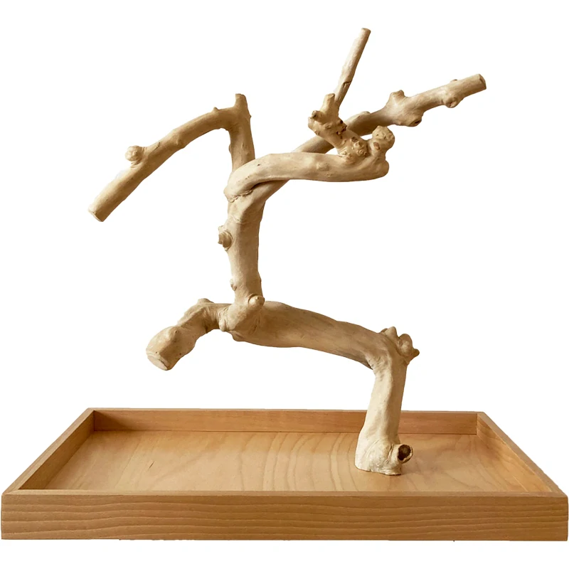 Strom z kávovníku s podstavou velikosti L pro střední a velké papoušky, tloušťka větví XL