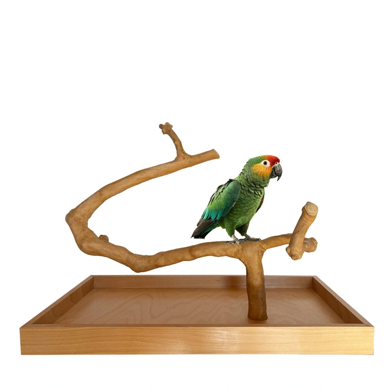 Strom z kávovníku s podstavou velikosti L pro střední a velké papoušky