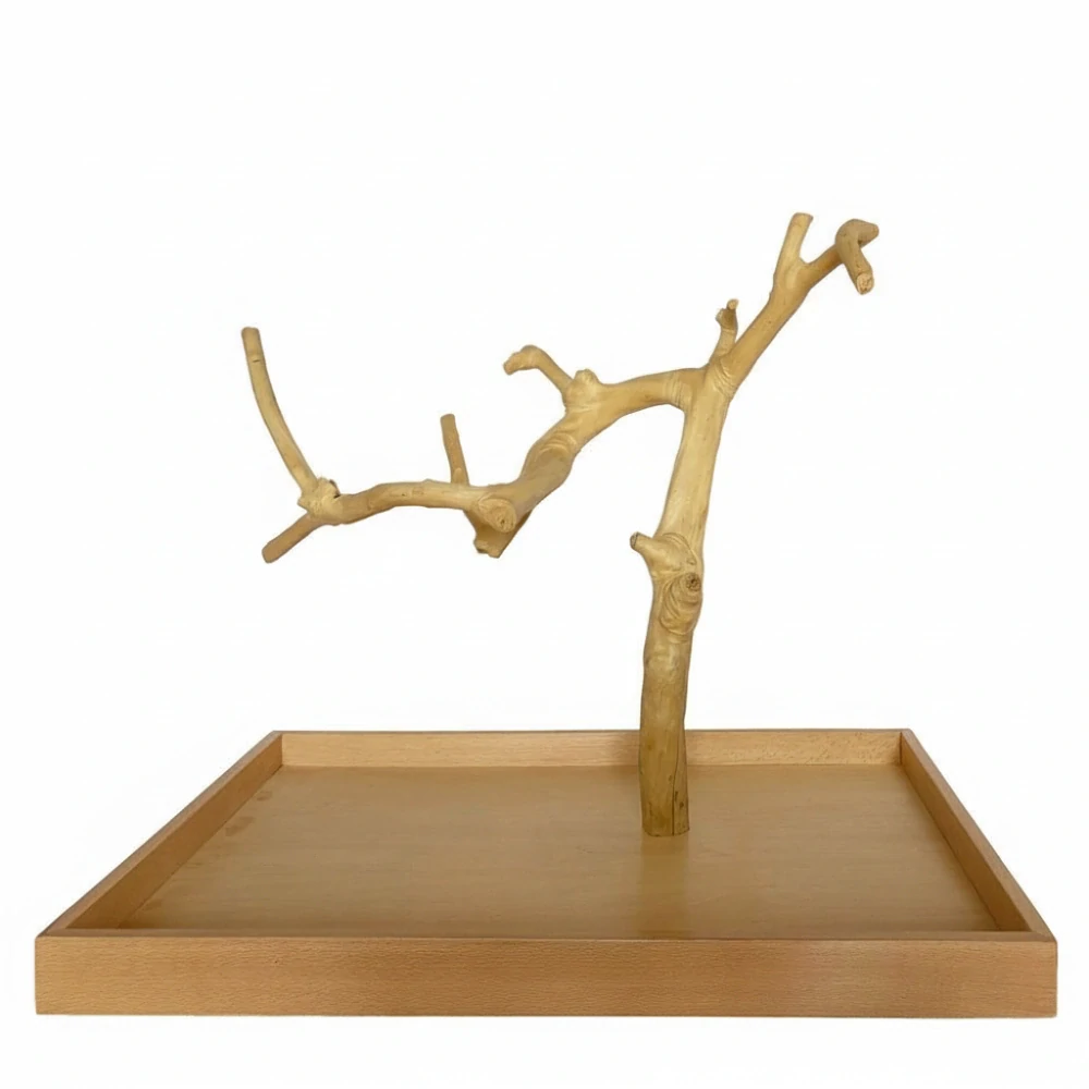 Strom z kávovníku s podstavou velikosti L střední a malé papoušky