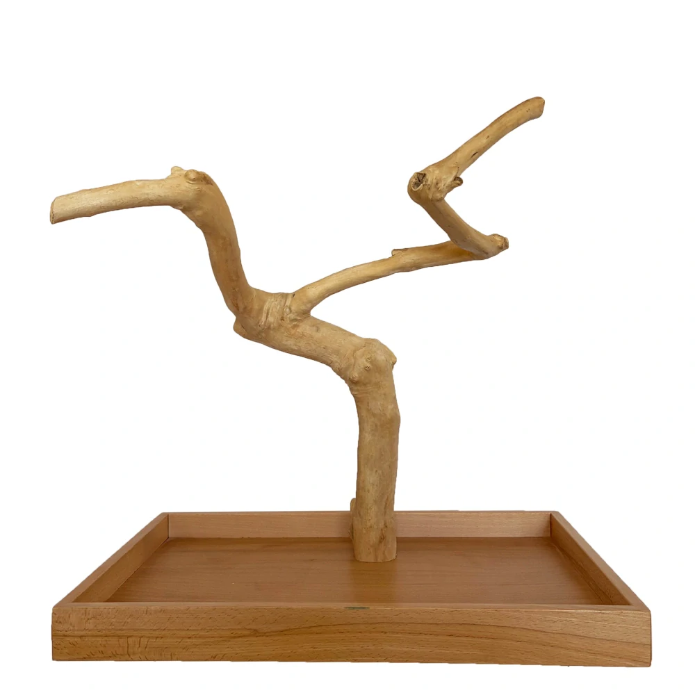 Strom z kávovníku s podstavou velikosti M pro malé a střední papoušky