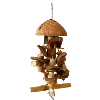 Bush velikosti M-L z kávovníku, 42 x 18 cm