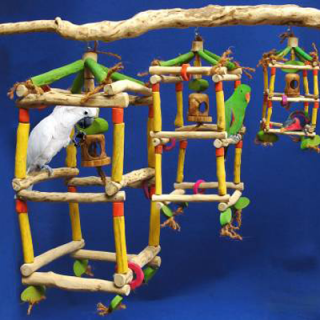 Dvojvěž z kávovníku pro střední a velké papoušky, 30 x 30 x 77 cm