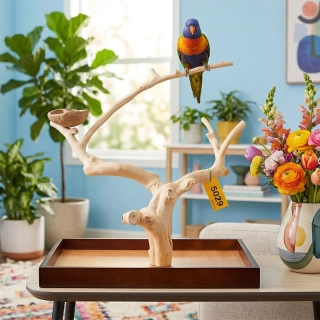 Strom z kávovníku s podstavou velikosti M pro malé a střední papoušky
