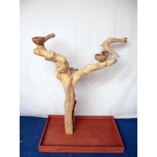 EXTRA SILNÝ Kávovníkový strom BL6151