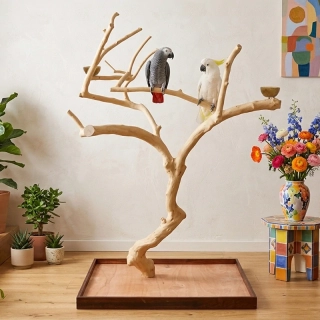 Vysoký, košatý strom z kávovníku AL3036