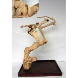 Strom z kávovníku s UMĚLECKOU VÝŘEZBOU CL8255