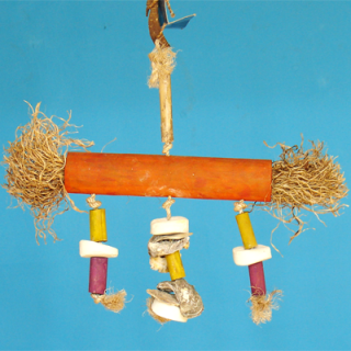 Překvapení se sépiovou kostí a lasturami, 33 x 40 cm