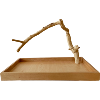 Strom z kávovníku s podstavou velikosti L pro střední a velké papoušky