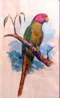 Originál akvarel v kliprámu alexandr rudohlavý