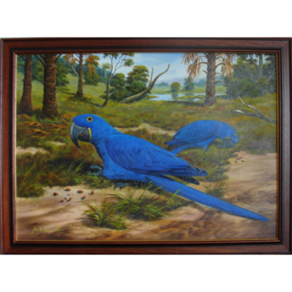 Originál olej na plátně v dřevěném rámu ary hyacintové