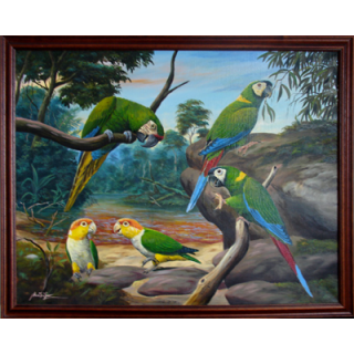 Originál olej na plátně v dřevěném rámu ary žlutokrké a amazónci bělobřiší