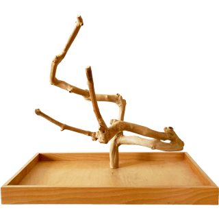 Strom z kávovníku s podstavou velikosti L pro střední a malé papoušky