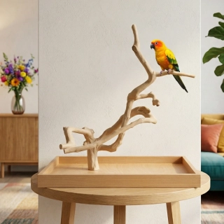 Strom z kávovníku s podstavou velikosti L pro střední a malé papoušky