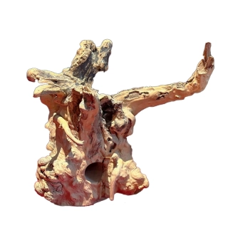 Kořen ze dřeva kávovníku v. 49 cm