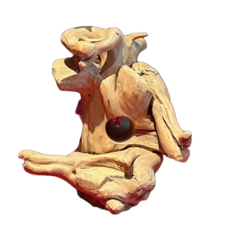 Kořen ze dřeva kávovníku v. 35 cm