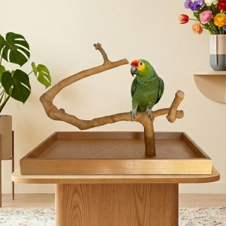 Strom z kávovníku s podstavou velikosti L pro střední a velké papoušky