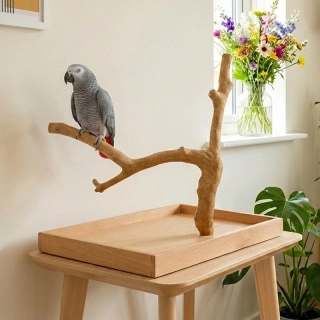 Strom z kávovníku s podstavou velikosti L pro střední a velké papoušky