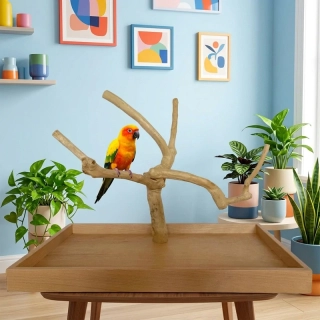 Strom z kávovníku s podstavou velikosti L pro střední a menší papoušky