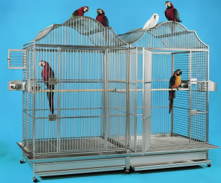 Nerezová dvojklec pro střední a velké papoušky 506SSDUO