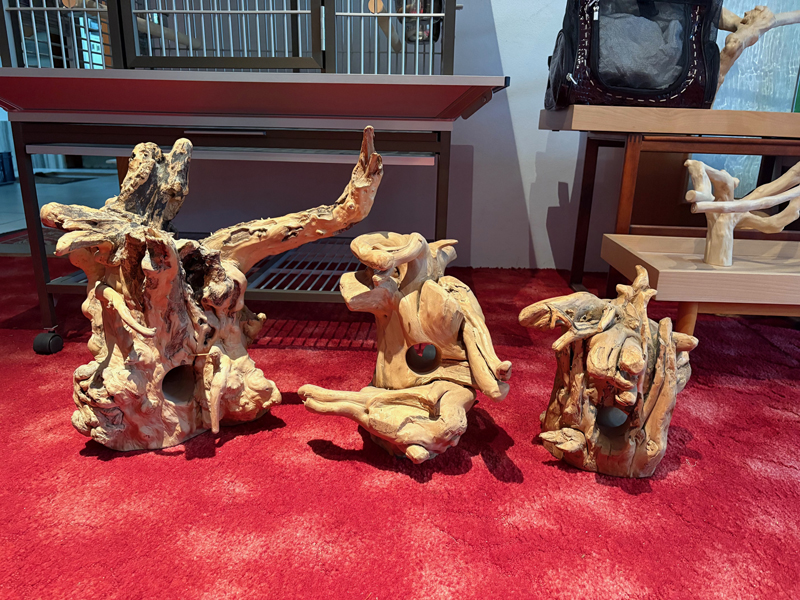 kořeny ze dřeva kávovníku